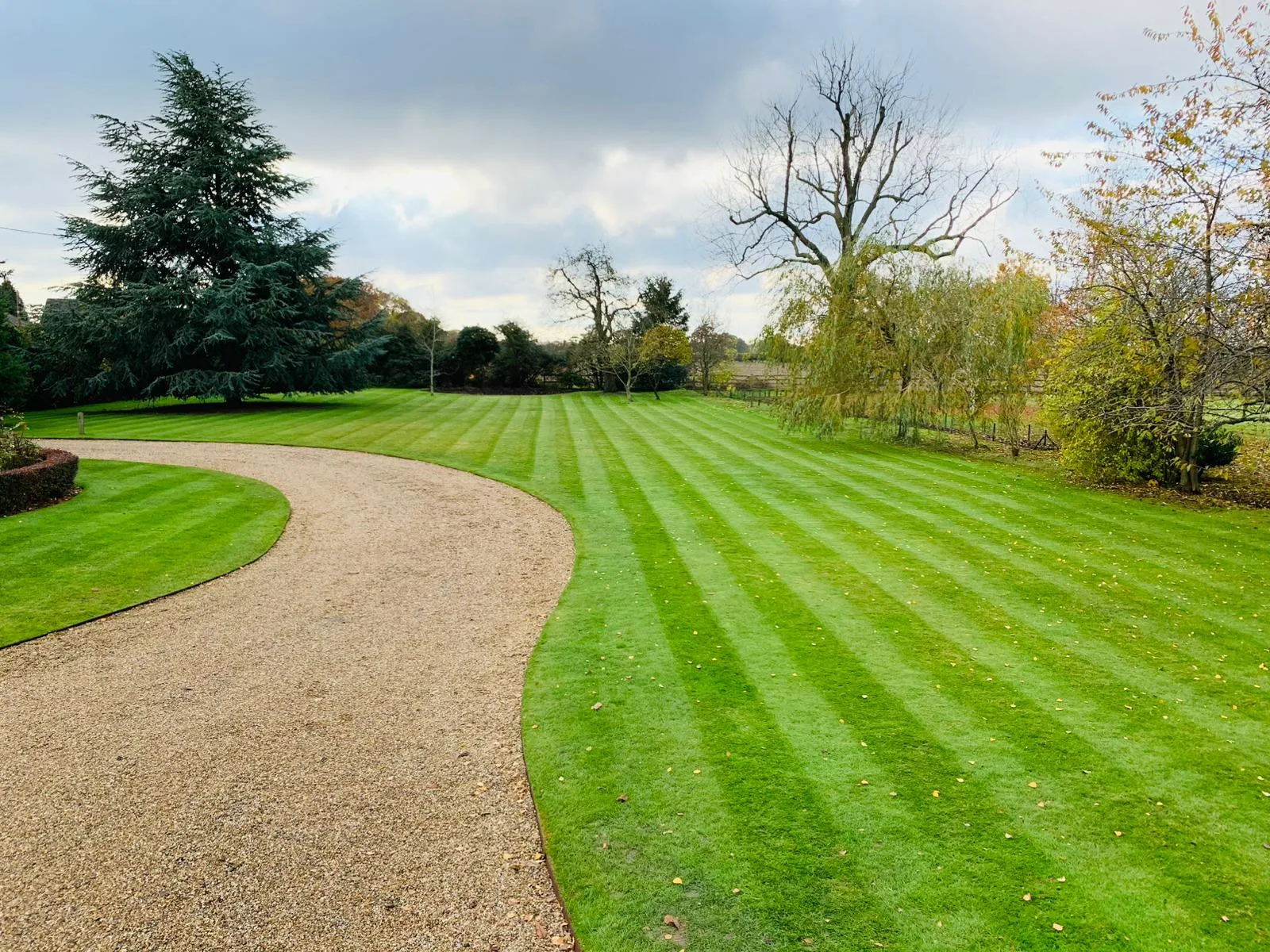 Domestic Maintenance